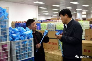 项目发展促跨越 唐河日用百货的微观察与项目基因